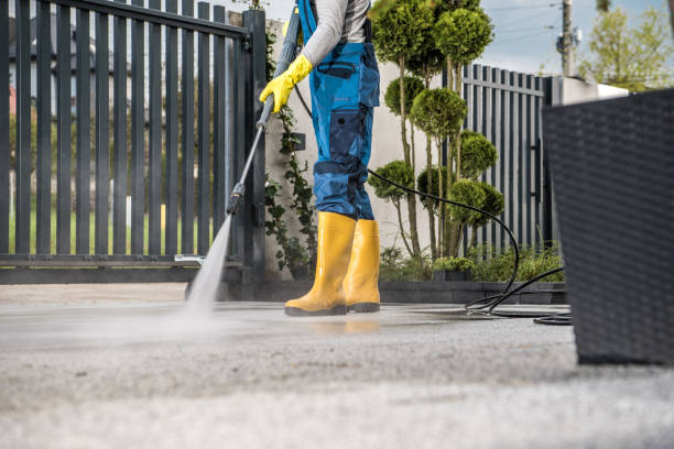 Best Residential Pressure Washing Services  in Meadows Place, TX