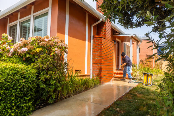 Best House Pressure Washing  in Meadows Place, TX